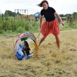 Agility Course 03
